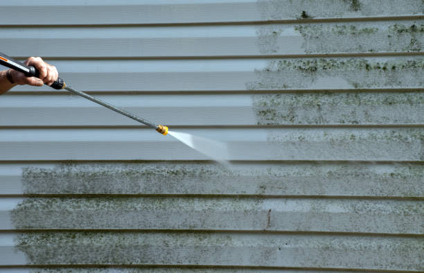 Best Window and Screen Pressure Cleaning in Knightdale, NC